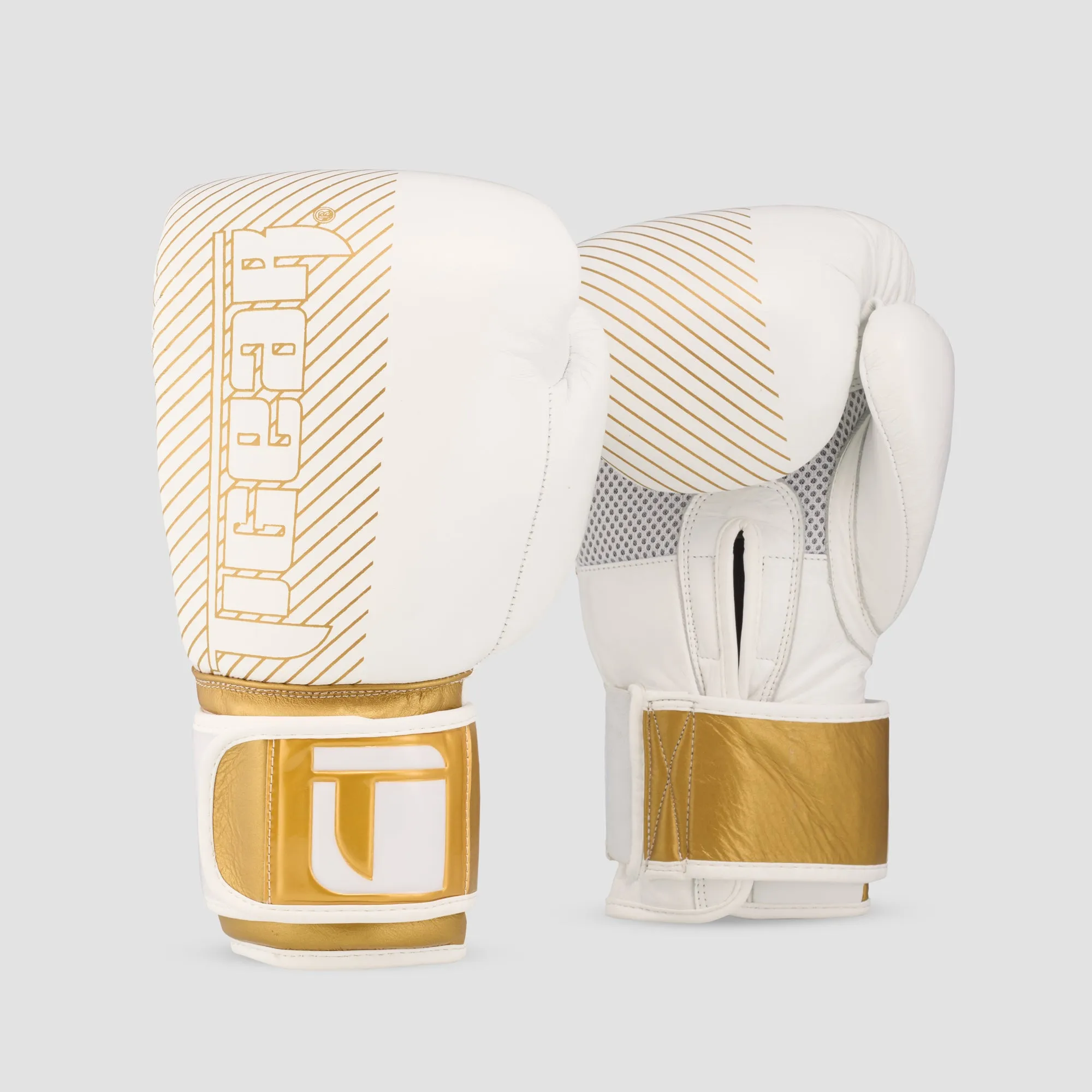 24K Training/Boxing Gloves