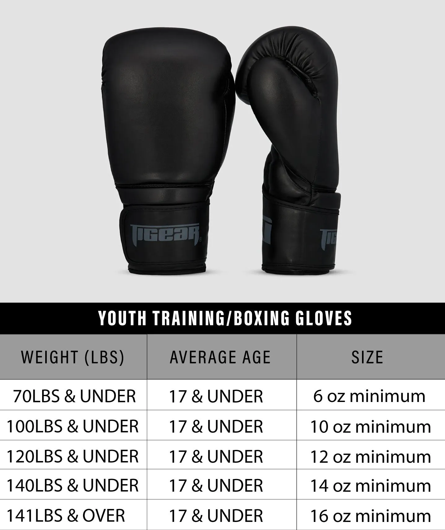 24K Training/Boxing Gloves