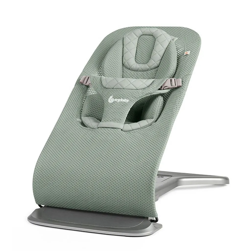 Ergobaby Evolve Bouncer