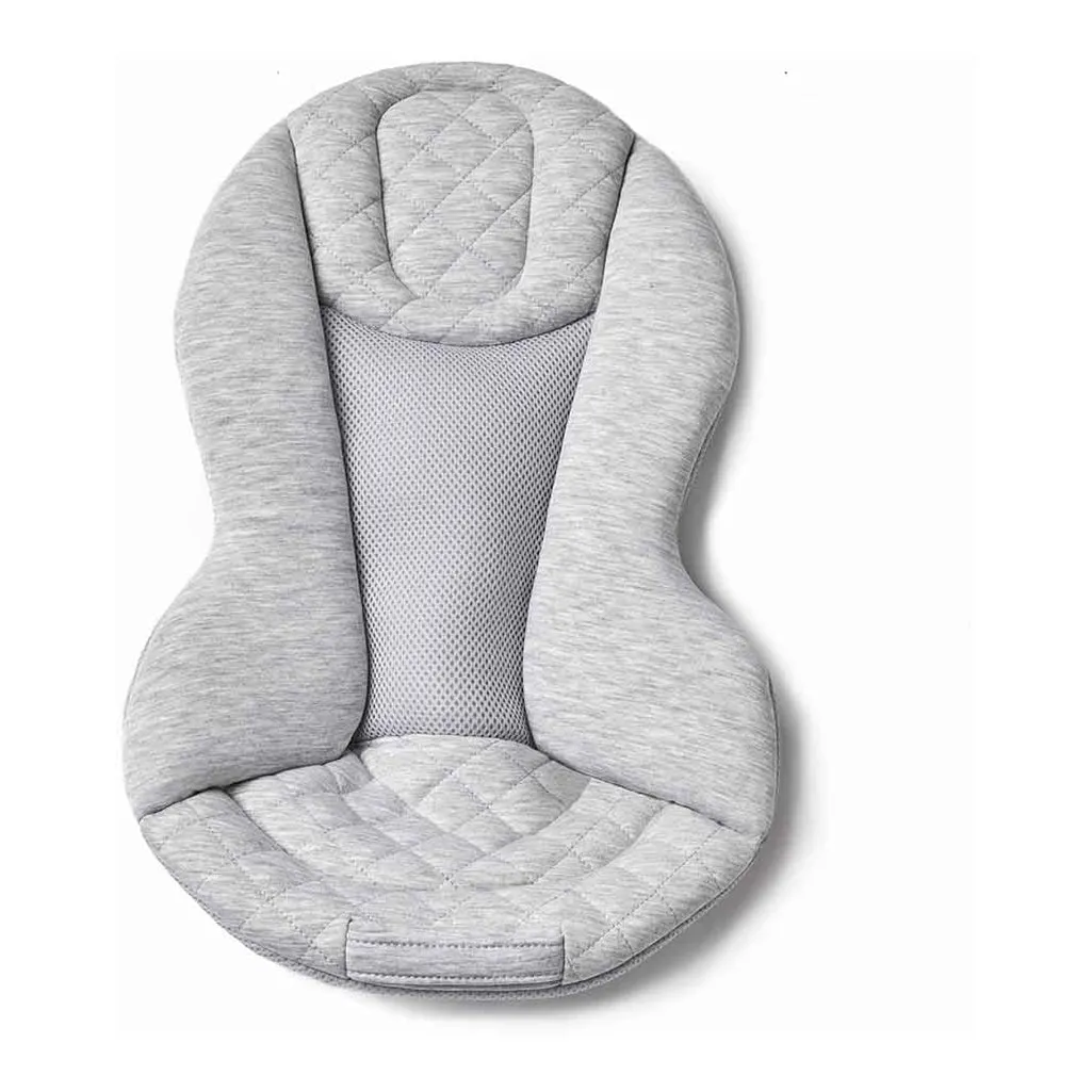 Ergobaby Evolve Bouncer