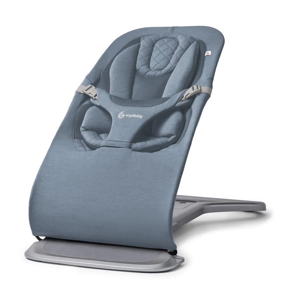 Ergobaby Evolve Bouncer