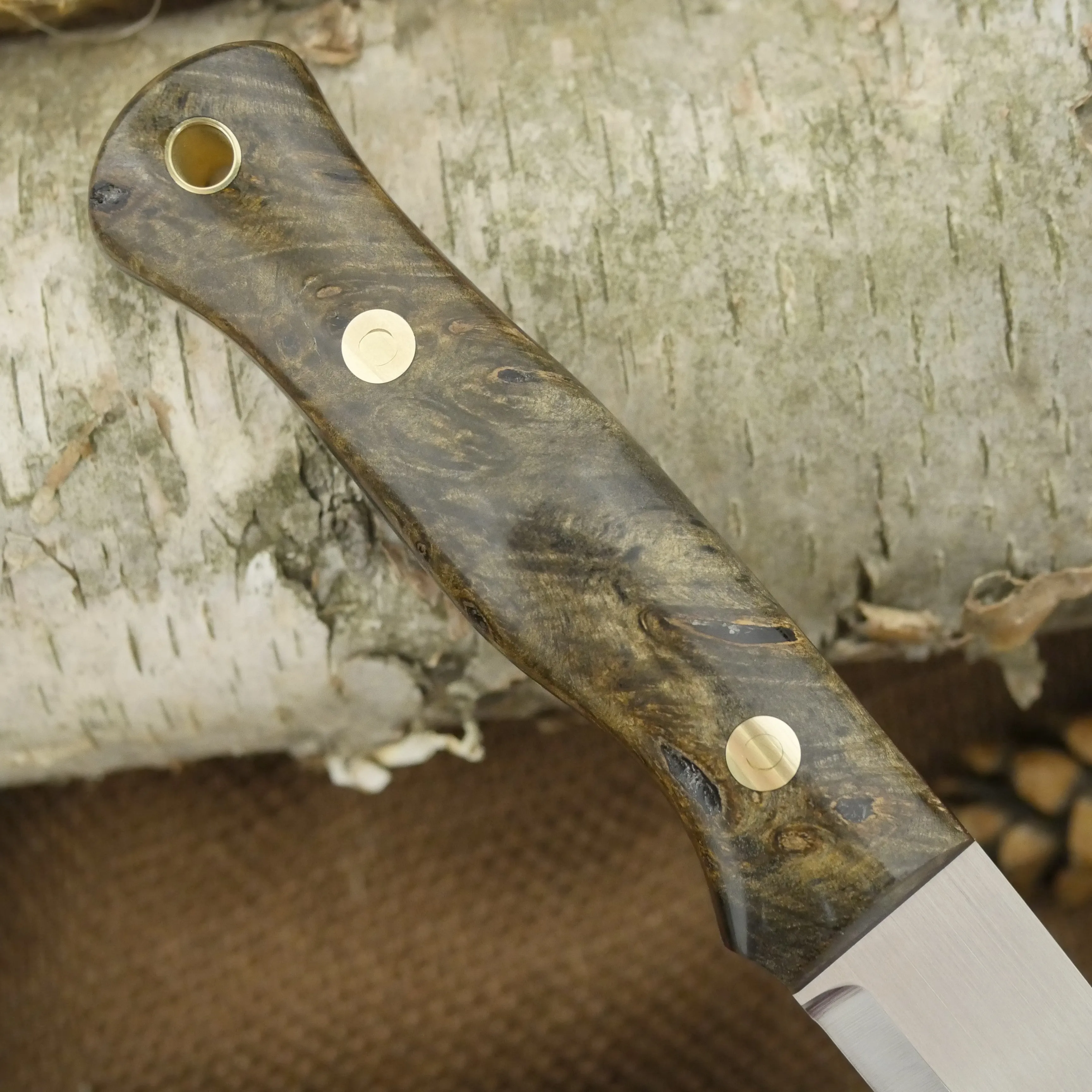 Mountaineer: Buckeye Burl, Black & Red G10