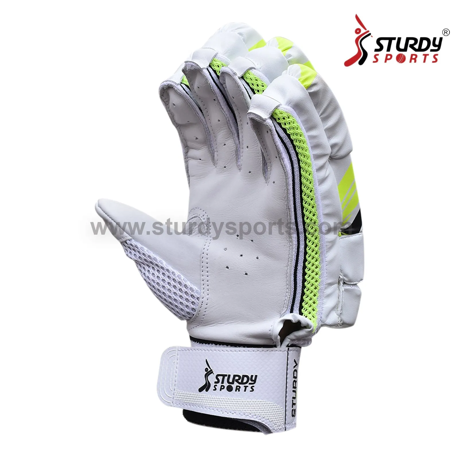 Sturdy Alligator Cricket Batting Gloves - Senior